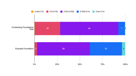 A screenshot of a bar chart showing Fundraising Foundations Total and Example Foundation total